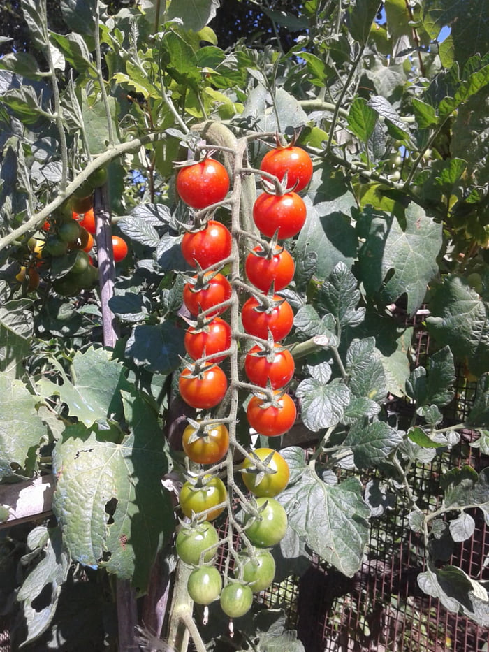 Take a rest from political and war posts, and enjoy the beauty of sprouting nature.