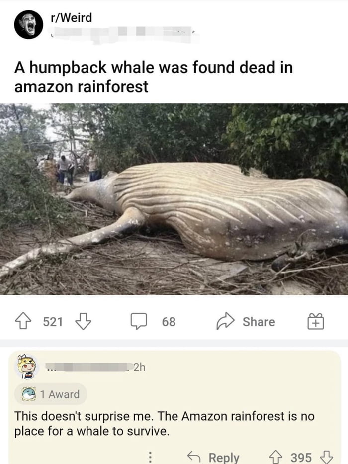 I wosder if a bowl of petunia's was nearby