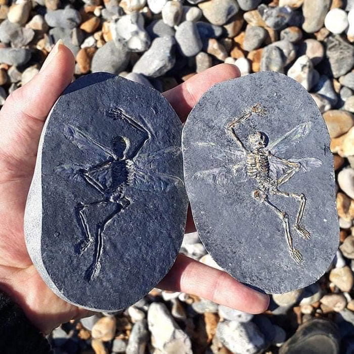 Planting fake fossils to give some future biologist short glimmer of hope before carbon dating it