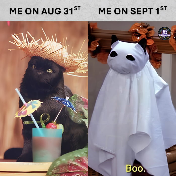 Summer mood instantly replaced by spooky vibes