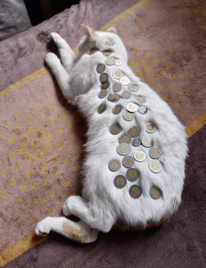 Upvote for a good week, small fortune or meeting that person who will change your life