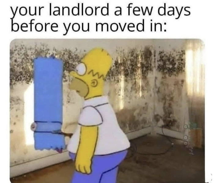 Mold is gone
