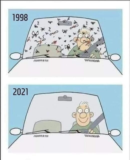 Nice... wait... where are all the bugs?