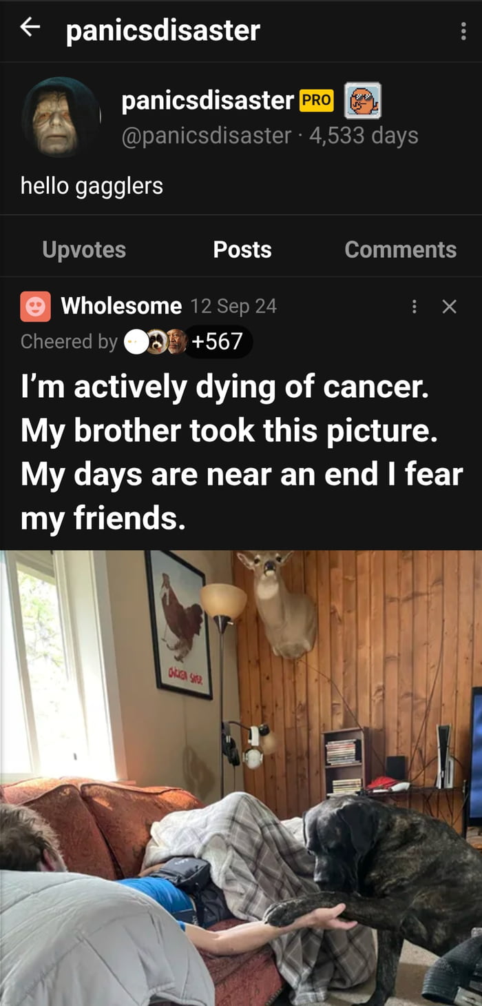 Take a moment to remember a fallen brother. Last post 12 Sep 24, last upvote 14 Sep 24.