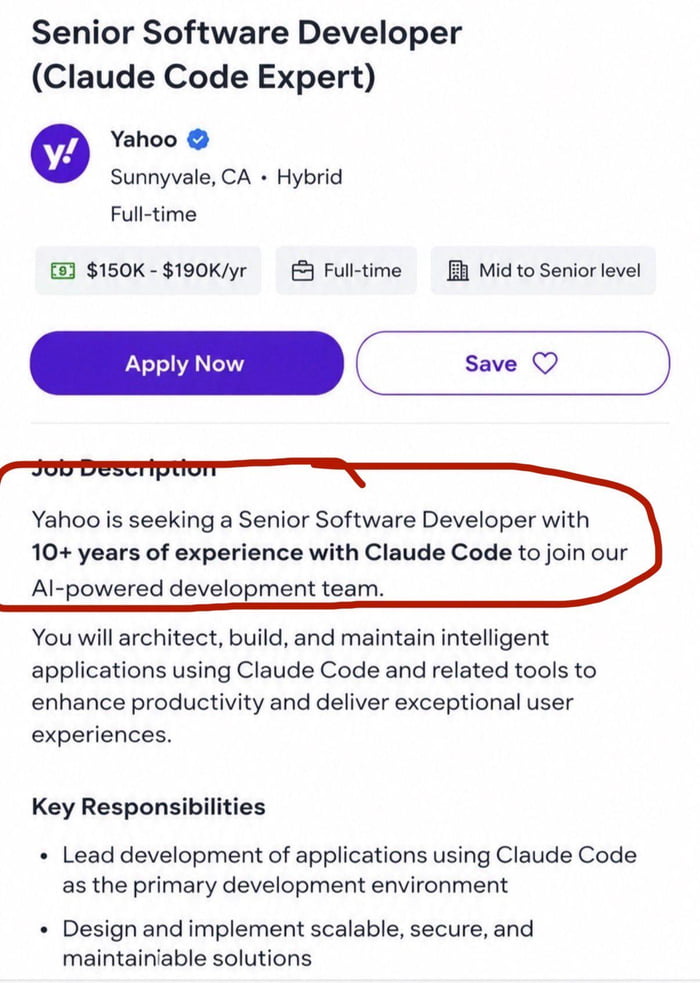 Senio software developer