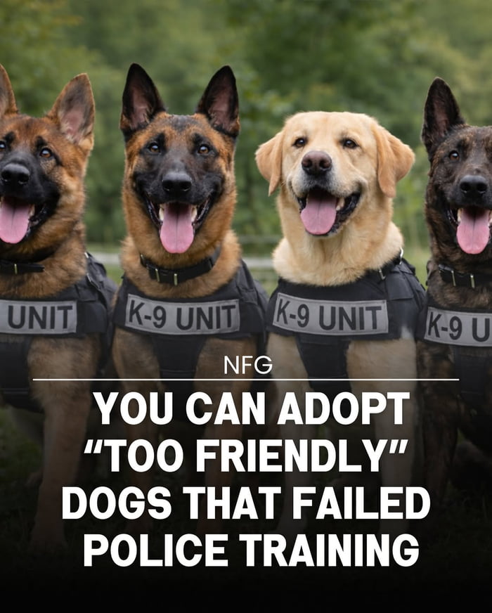 The best kind of failure