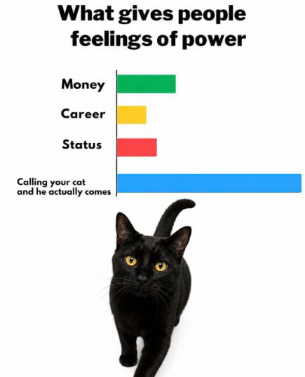 Ultimate display of dominance