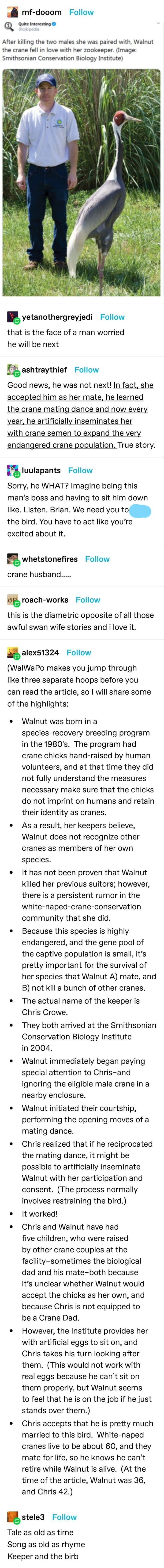 Talk about job security