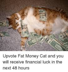 You've found the cat.