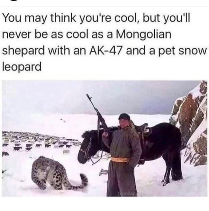 Peak coolness achieved