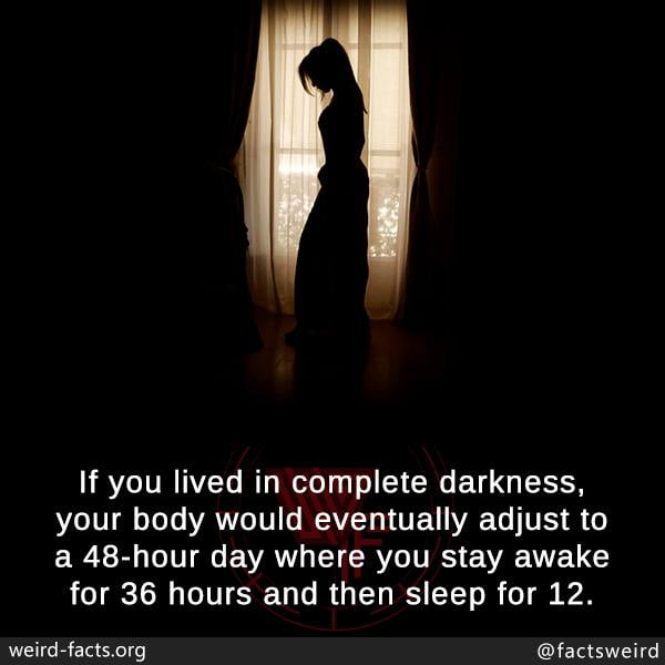 Don't tell corporate that