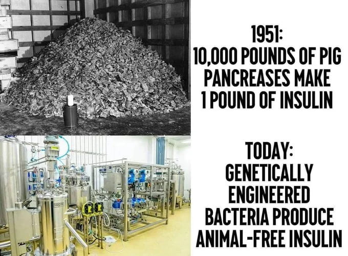 The evolution of technology