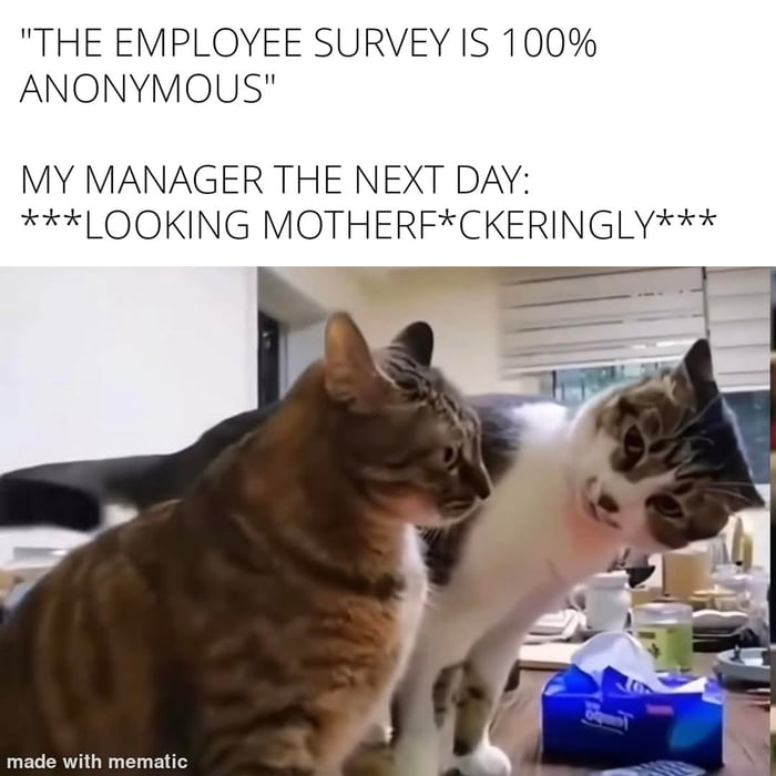 That look you get after the "anonymous" employee survey