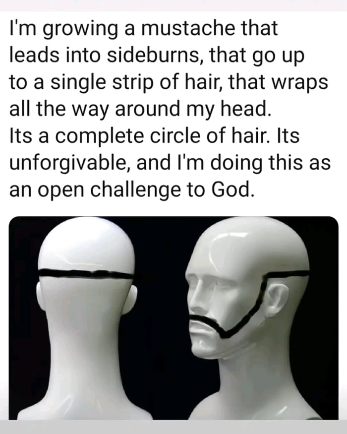 An open challenge to the universe, manifested in questionable facial hair choices.