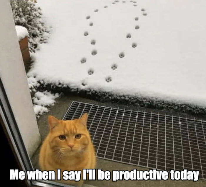 Stayed turned around and did nothing like the Turnaround cat