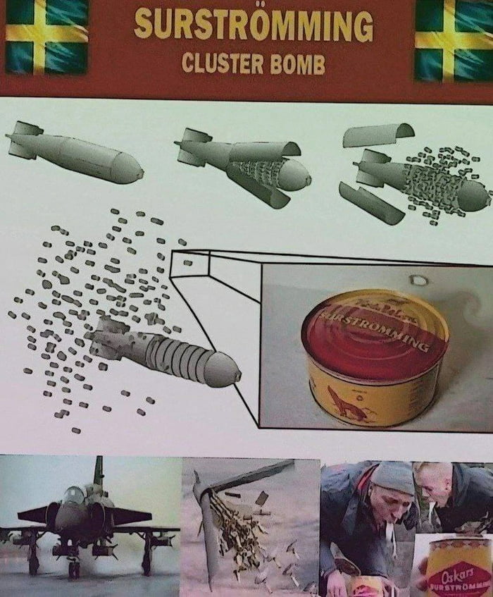 Swedens greatest contribution to NATO