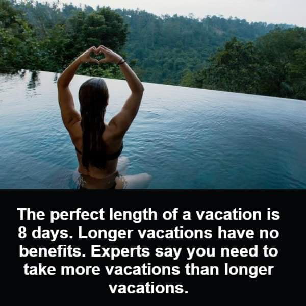 Experts: Trust me bro