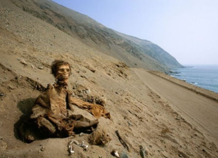 Naturally mummified remains were discovered along the arid Atacama desert coast in Chile, dating to around 7000 BC.The Person has been sitting there for 9000 years now.