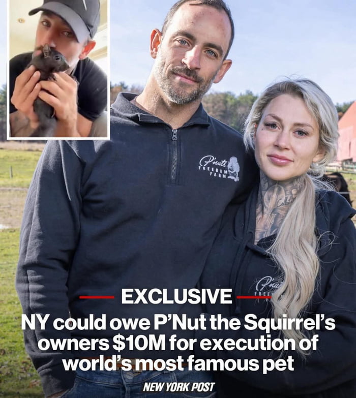 Yes, a short and witty title