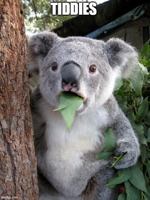 Koala