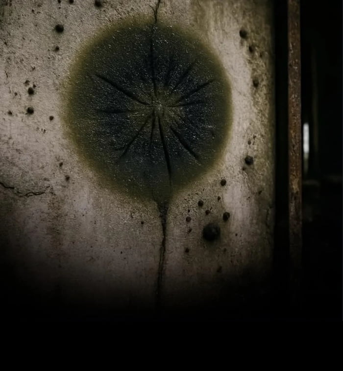 Scientists have identified a black fungus growing on the radioactive remains of the Chernobyl nuclear reactor that appears to have evolved the ability to feed on radiation. The species, Cladosporium sphaerospermum, uses a rare process known as radios