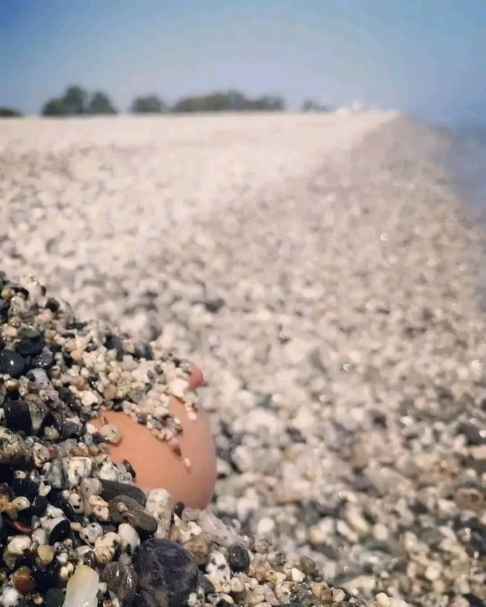 Just a sand with a bit of tit.