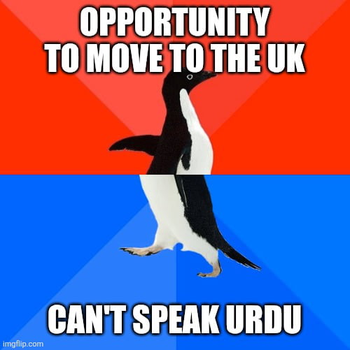 But I can run for mayor after I learn...