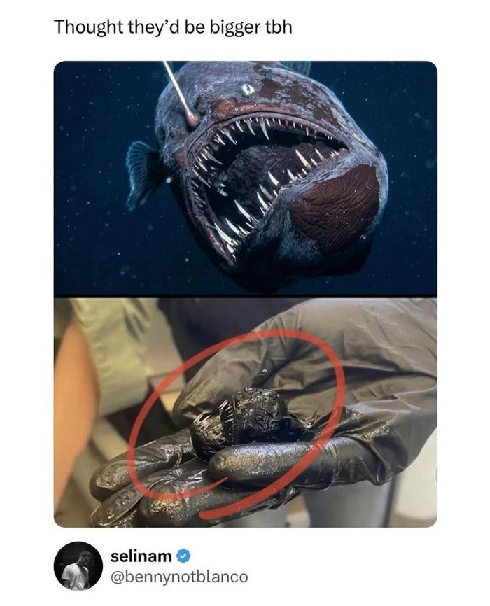 Thought they'd be bigger tbh