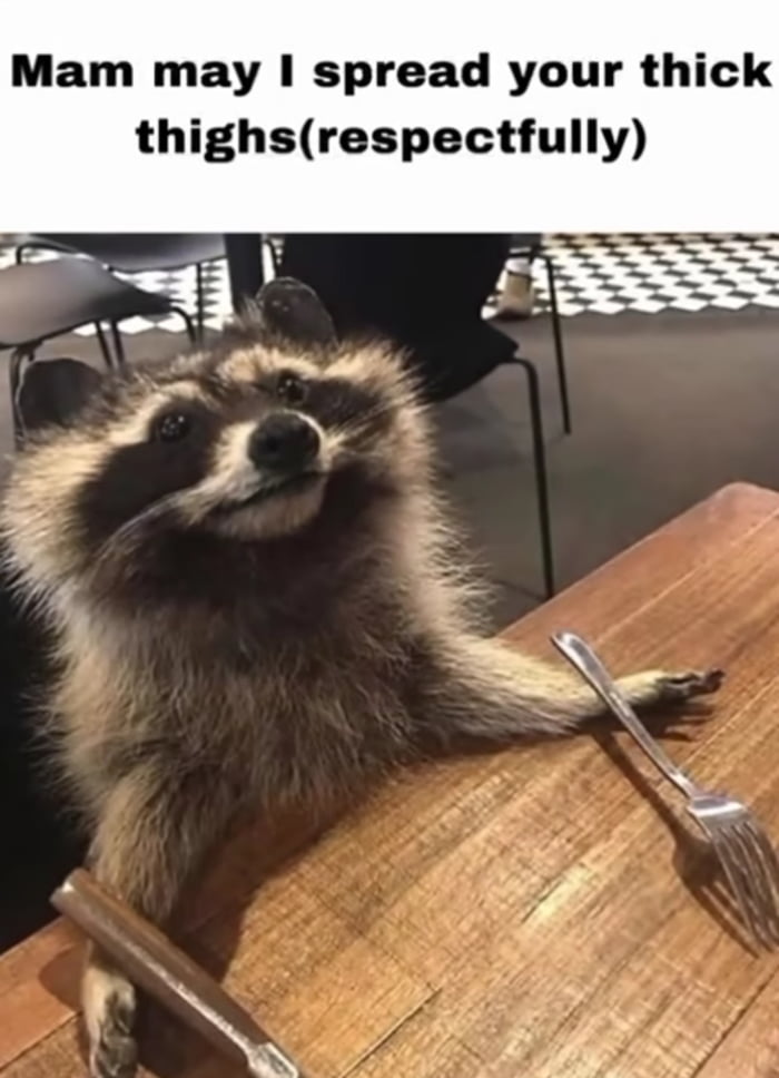 Time for the thick Thighs boys. Let's see some in the comments