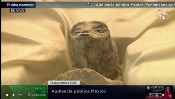 MEXICAN CONGRESS JUST SHOWED ALIEN BODIES ON A LIVE HEARING!