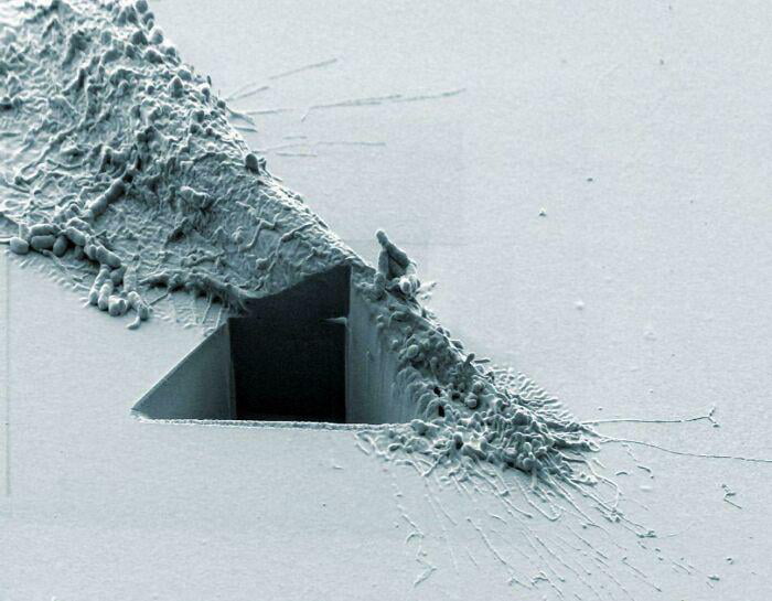 Cancer Cell Hit By An Ion Beam.