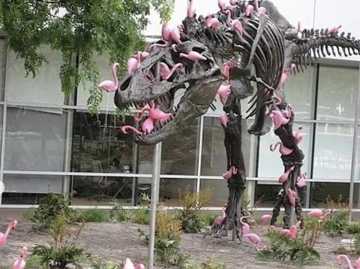 Last surviving Tyrannosaurus Rex picked clean by its descendants.