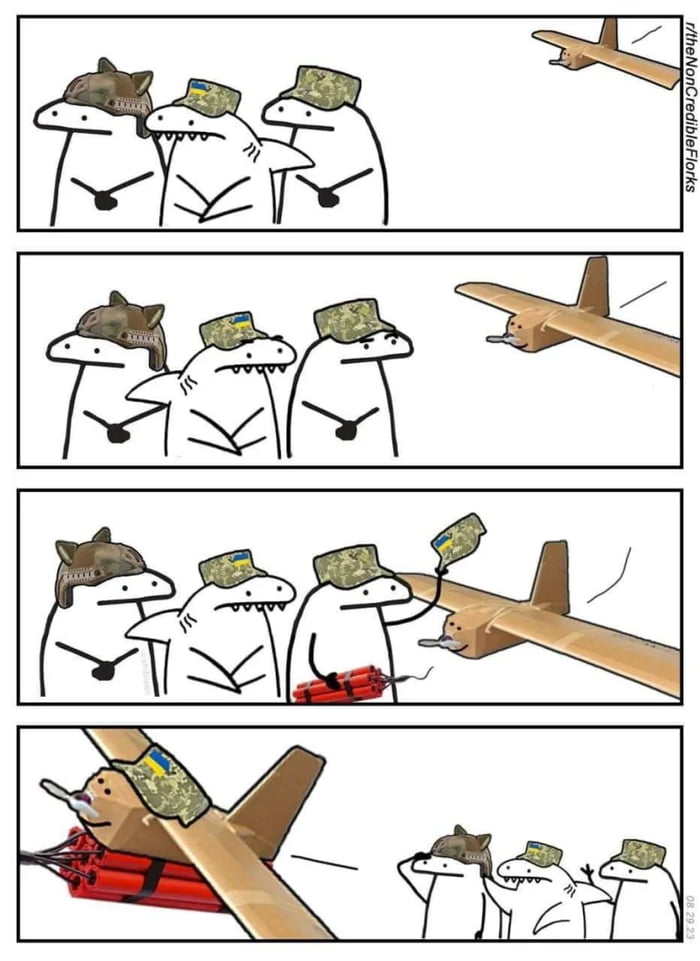 Cardboard VS 2nd strongest army in the world.