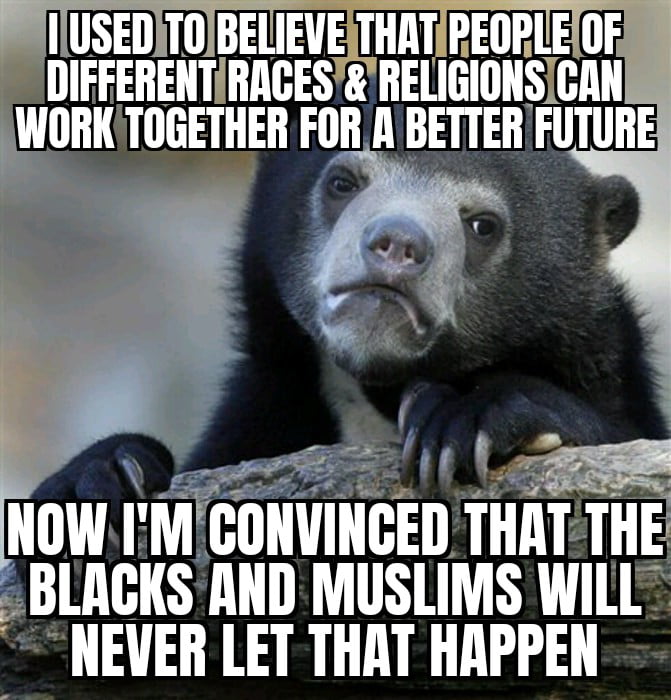 5 years ago I would have told you that all races and religions are equal, and can work together. Today I'm convinced that unity is an unobtainable dream.