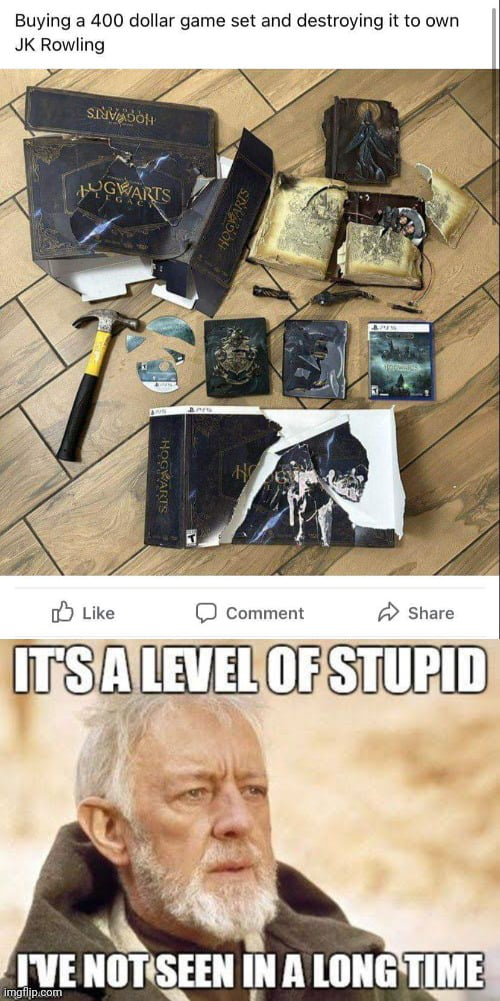 Stupid as they come