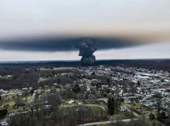 If it were a turtle with a straw up it's knose everyone would lose their minds. But an entire city being infected with this shit? Where are the environmentalists?