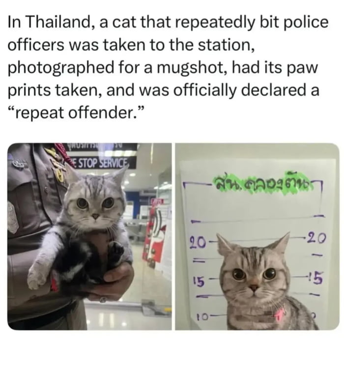 Hardest criminal in bangkok