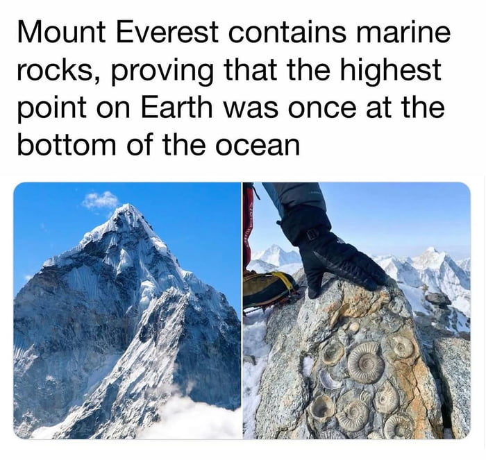Mind blown by this Everest fact