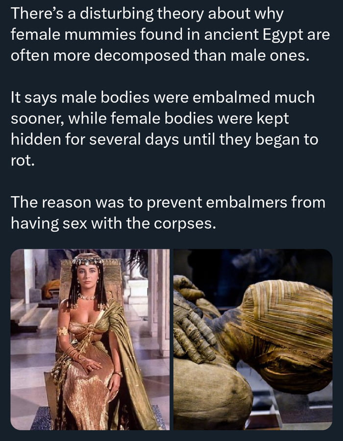 What did i just read anyway, Mummy conspiracy?