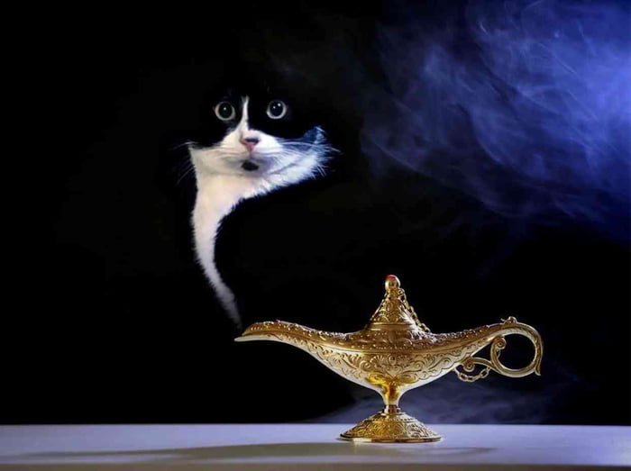 For freeing him he shall grant you wishes three