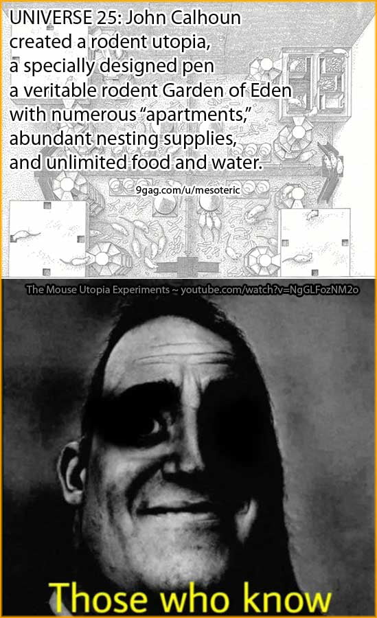 Does Utopia Exist?!