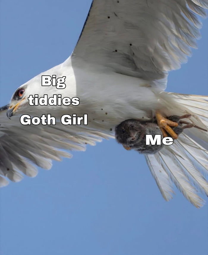 Bless me, Father, for I have sinned.