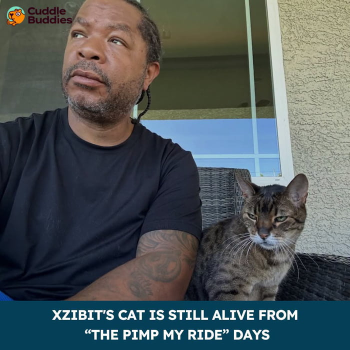 Good guy Xzibit, still has and cares for his 20 year old cat "Thundercat".