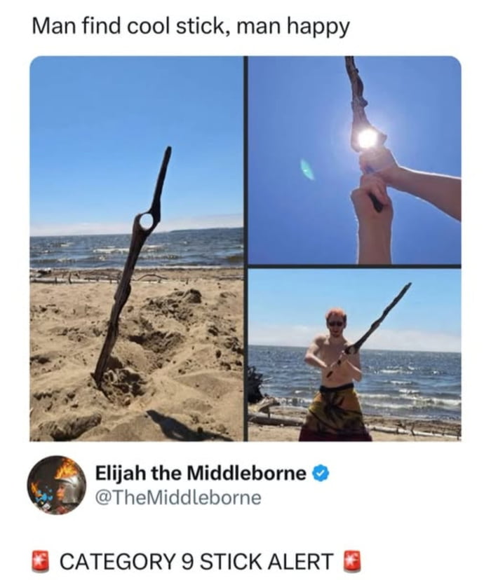 The pure joy of finding the perfect stick, a true treasure.