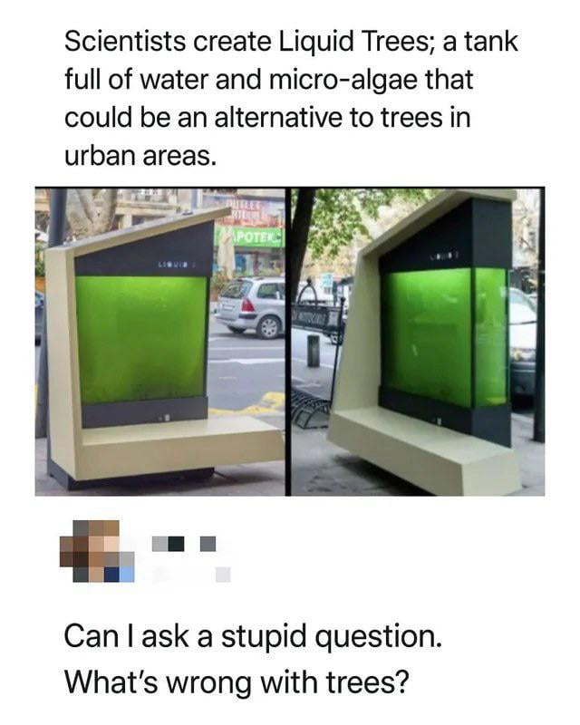 Seriously, what's wrong with actual trees