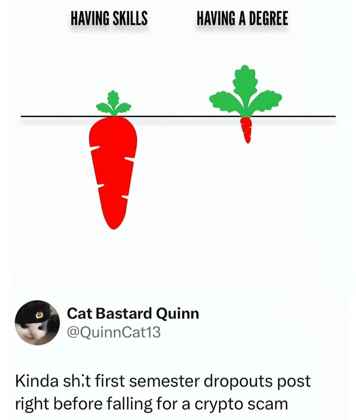 Skills vs degree, a timeless debate with a crypto twist