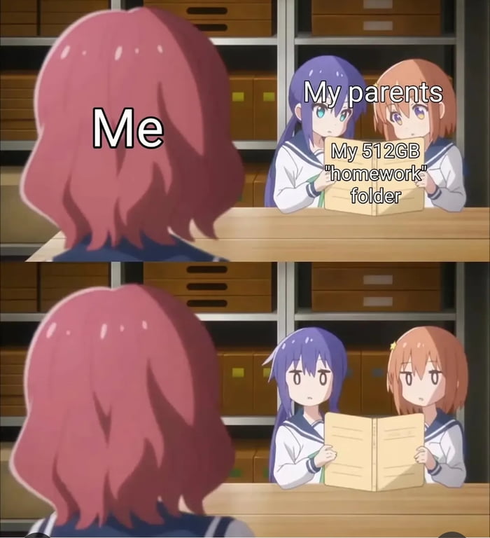 I'm studying biology