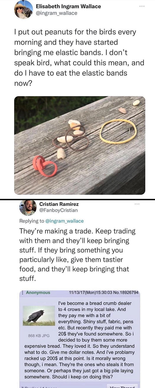 Funny how crows adapt better to our work/trade society than some people