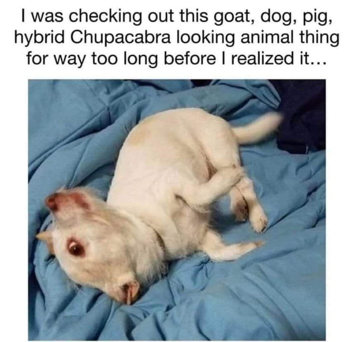 Wait ...what?