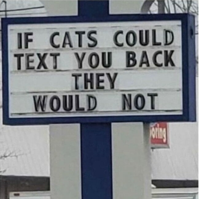 It hurts right in my meow meow